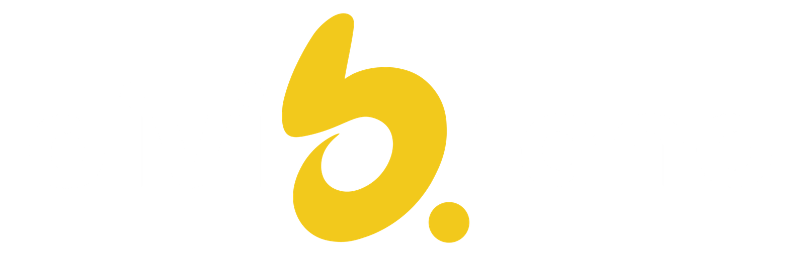 divibrand.com